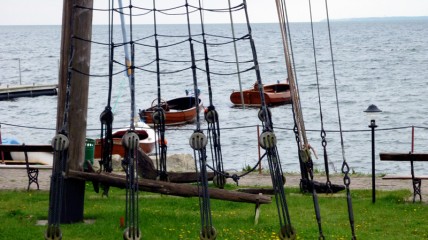 P1000246