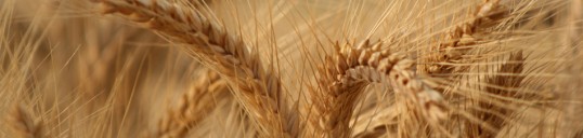 photo_slider_2